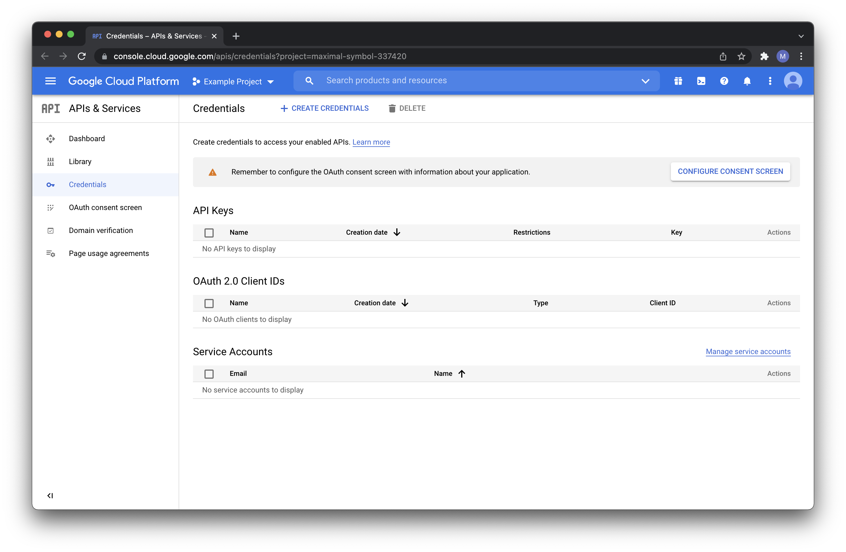 We have selected an **Example Project** in Google Cloud Platform API